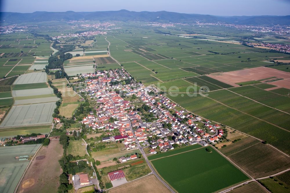 Luftbild Neustadt an der Weinstraße - Dorf - Ansicht am Rande von Feldern im Ortsteil Duttweiler in Neustadt an der Weinstraße im Bundesland Rheinland-Pfalz