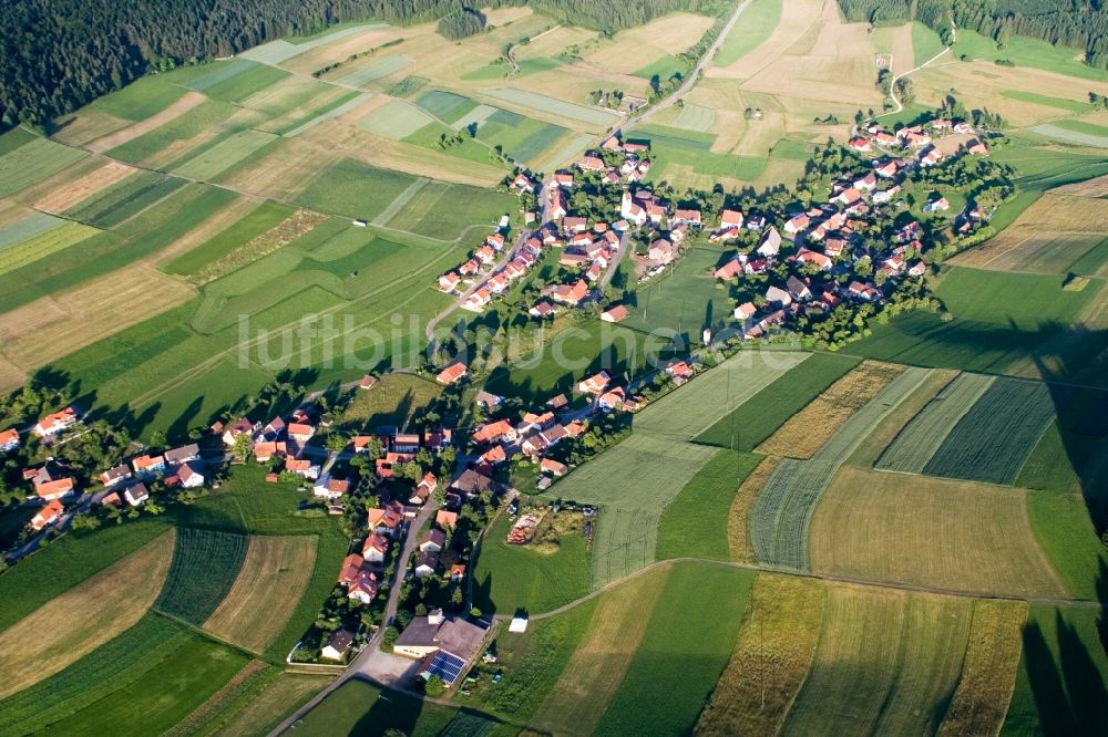 Luftaufnahme Immendingen - Dorf - Ansicht am Rande von Feldern im Ortsteil Ippingen in Immendingen im Bundesland Baden-Württemberg