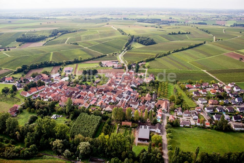 Heuchelheim-Klingen von oben - Dorf - Ansicht am Rande von Feldern im Ortsteil Klingen in Heuchelheim-Klingen im Bundesland Rheinland-Pfalz, Deutschland