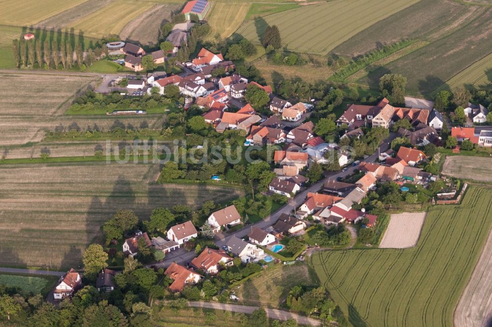 Luftaufnahme Willstätt - Dorf - Ansicht am Rande von Feldern im Ortsteil Legelshurst in Willstätt im Bundesland Baden-Württemberg, Deutschland