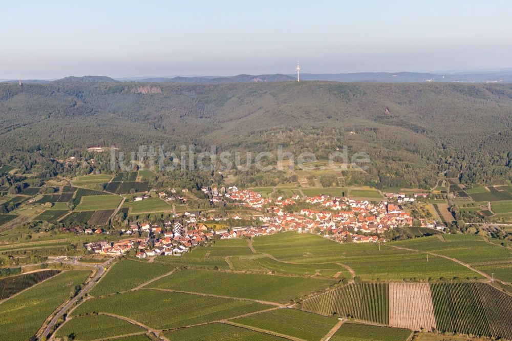 Bad Dürkheim aus der Vogelperspektive: Dorf - Ansicht am Rande von Feldern im Ortsteil Leistadt in Bad Dürkheim im Bundesland Rheinland-Pfalz, Deutschland