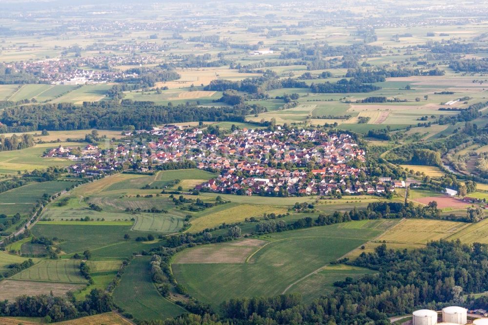 Kehl von oben - Dorf - Ansicht am Rande von Feldern im Ortsteil Leutesheim in Kehl im Bundesland Baden-Württemberg, Deutschland