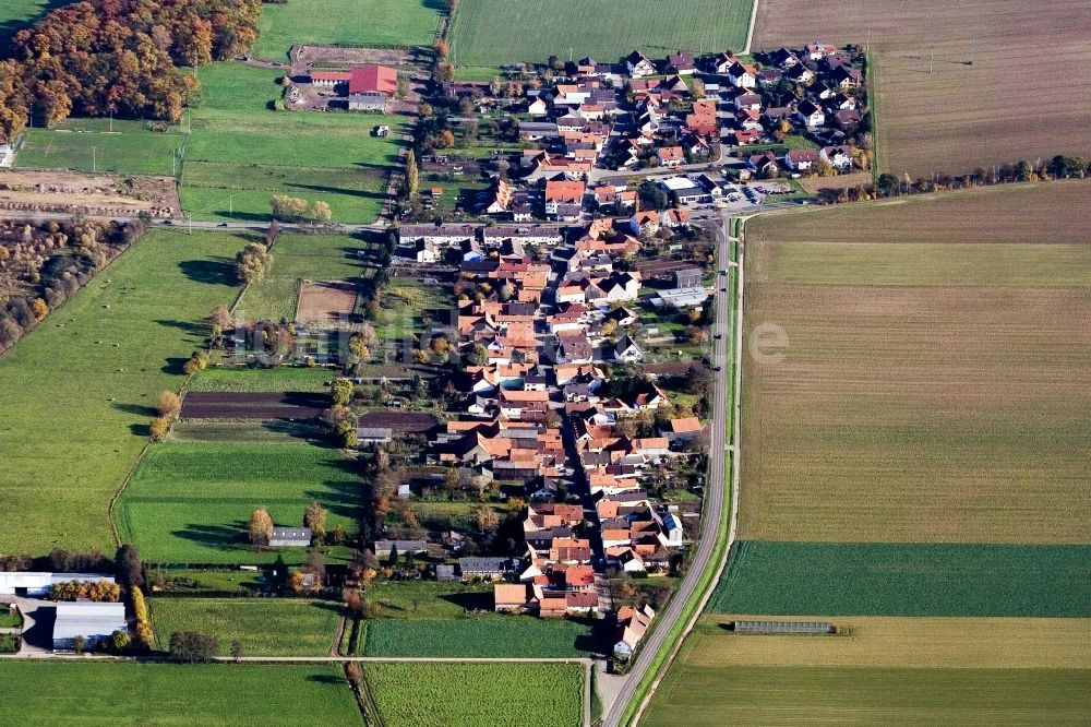 Luftaufnahme Kandel - Dorf - Ansicht am Rande von Feldern im Ortsteil Minderslachen in Kandel im Bundesland Rheinland-Pfalz