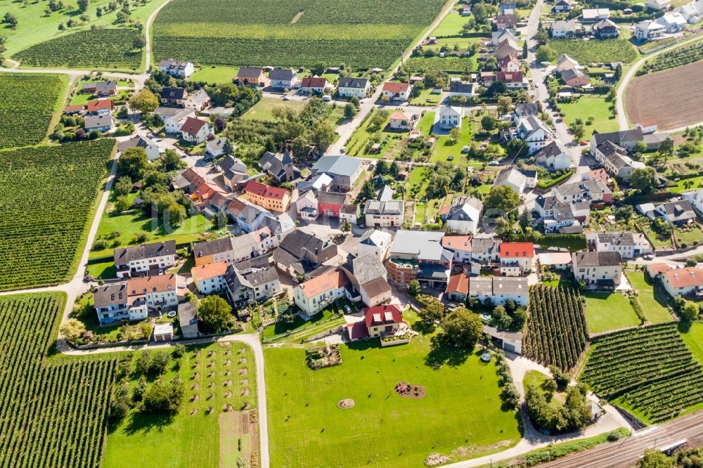 Palzem aus der Vogelperspektive: Dorf - Ansicht am Rande von Feldern im Ortsteil Wehr in Palzem im Bundesland Rheinland-Pfalz, Deutschland