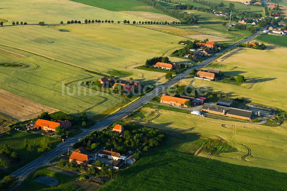 Luftbild Raden - Dorf - Ansicht am Rande von Feldern in Raden im Bundesland Mecklenburg-Vorpommern, Deutschland