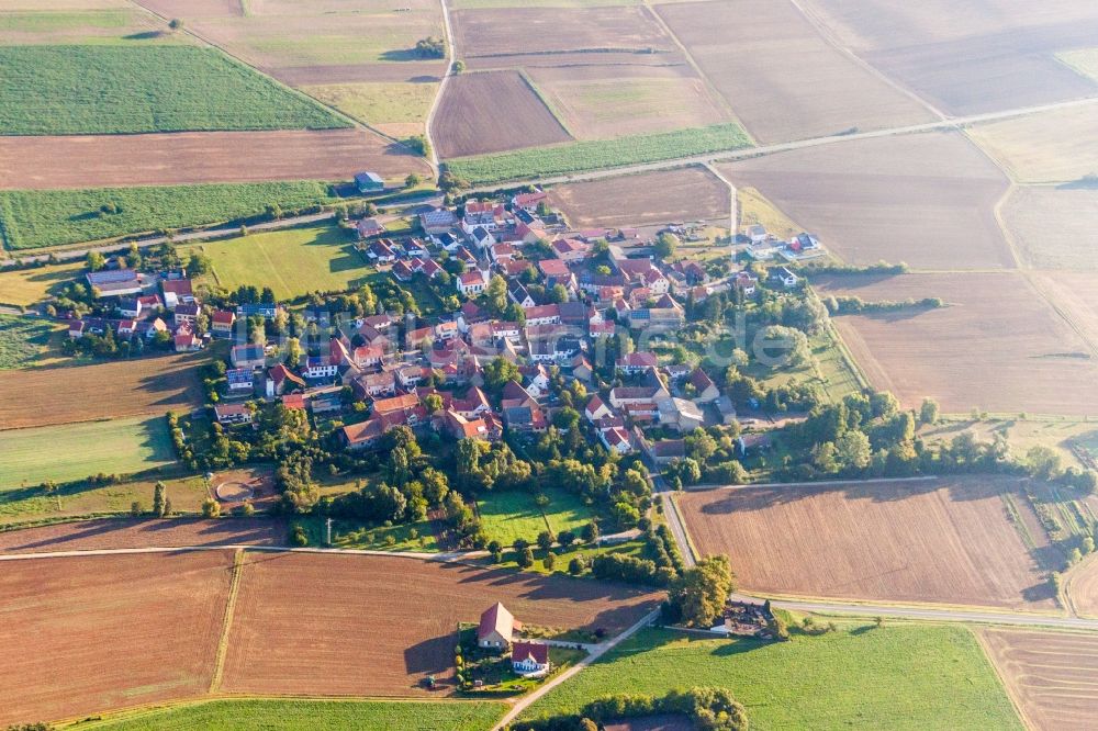 Luftbild Rittersheim - Dorf - Ansicht am Rande von Feldern in Rittersheim im Bundesland Rheinland-Pfalz, Deutschland