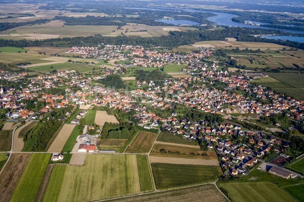 Sessenheim aus der Vogelperspektive: Dorf - Ansicht am Rande von Feldern in Sessenheim in Grand Est, Frankreich