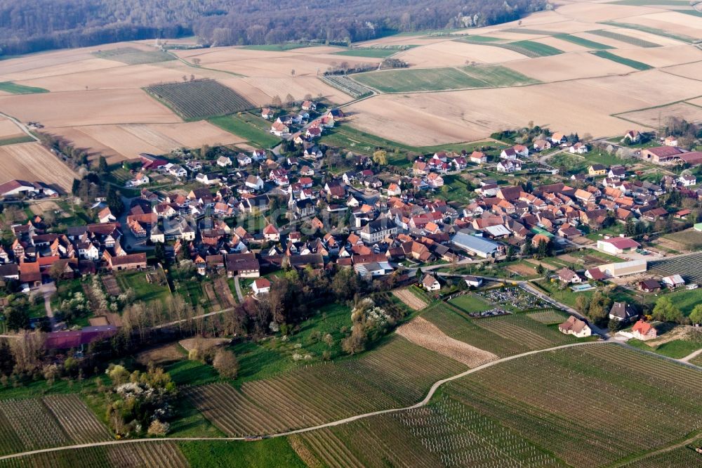 Luftbild Steinseltz - Dorf - Ansicht am Rande von Feldern in Steinseltz in Grand Est, Frankreich