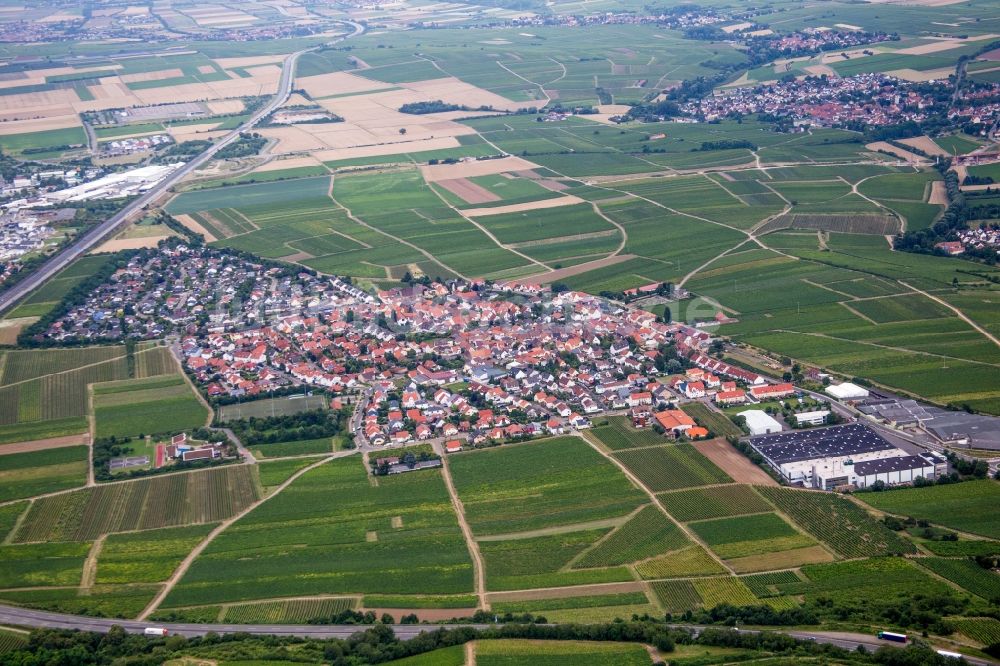 Tiefenthal von oben - Dorf - Ansicht am Rande von Feldern in Tiefenthal im Bundesland Rheinland-Pfalz, Deutschland