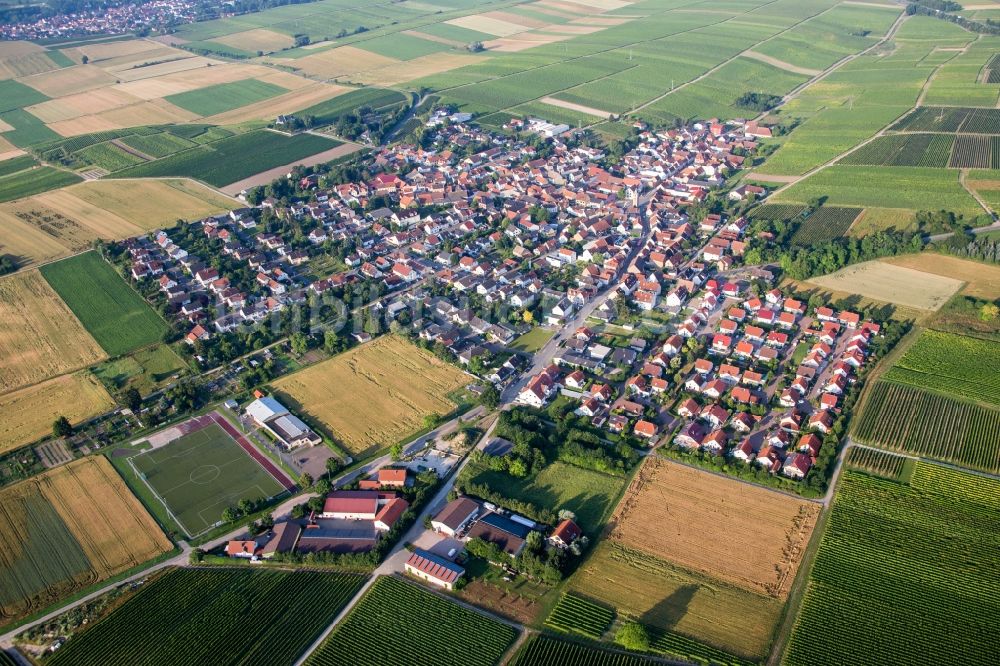 Luftaufnahme Udenheim - Dorf - Ansicht am Rande von Feldern in Udenheim im Bundesland Rheinland-Pfalz, Deutschland