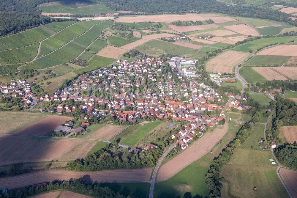 Luftbild Vaihingen an der Enz - Dorf - Ansicht am Rande von Feldern in Vaihingen an der Enz im Bundesland Baden-Württemberg, Deutschland