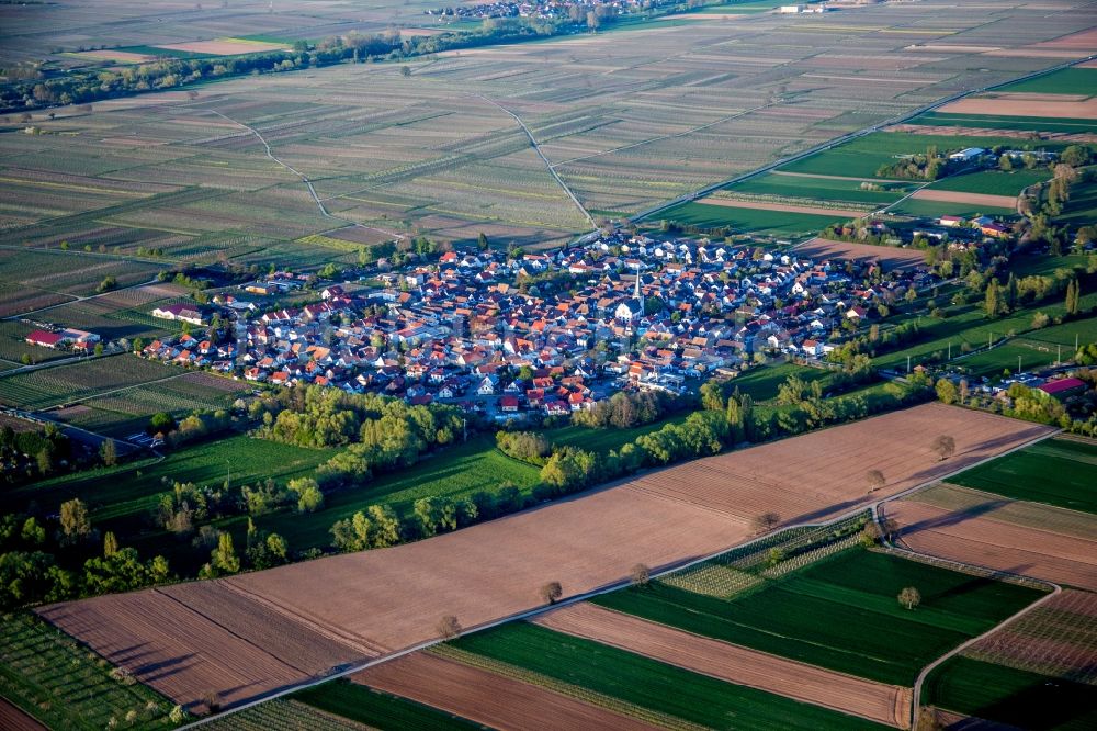 Venningen aus der Vogelperspektive: Dorf - Ansicht am Rande von Feldern in Venningen im Bundesland Rheinland-Pfalz, Deutschland