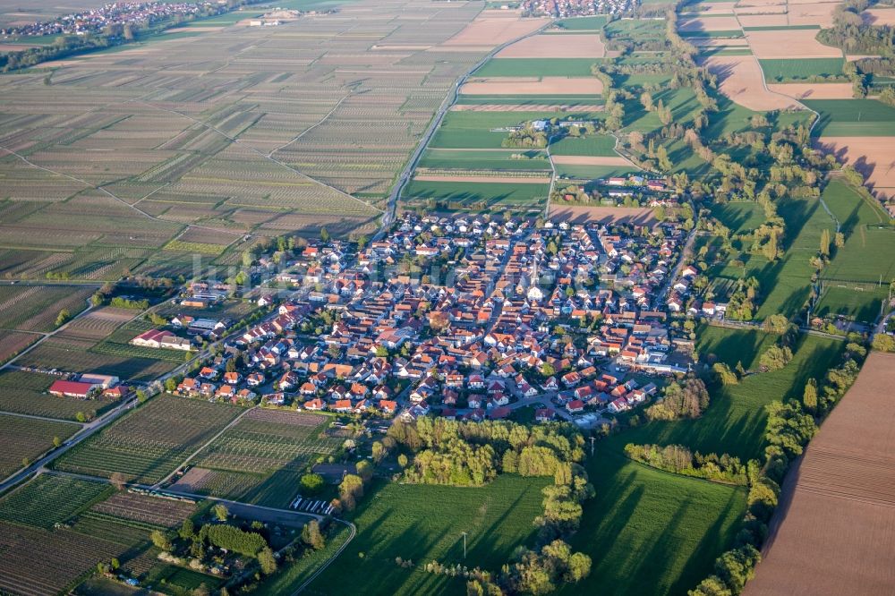 Luftbild Venningen - Dorf - Ansicht am Rande von Feldern in Venningen im Bundesland Rheinland-Pfalz, Deutschland