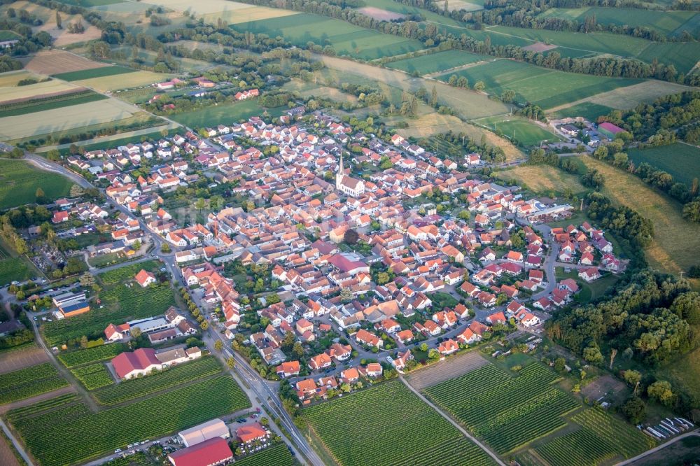 Luftaufnahme Venningen - Dorf - Ansicht am Rande von Feldern in Venningen im Bundesland Rheinland-Pfalz, Deutschland