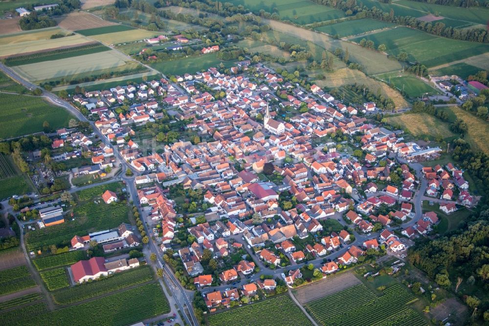 Venningen aus der Vogelperspektive: Dorf - Ansicht am Rande von Feldern in Venningen im Bundesland Rheinland-Pfalz, Deutschland