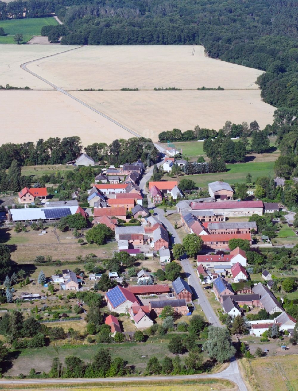 Luftaufnahme Vienau - Dorf - Ansicht am Rande von Feldern in Vienau im Bundesland Sachsen-Anhalt, Deutschland