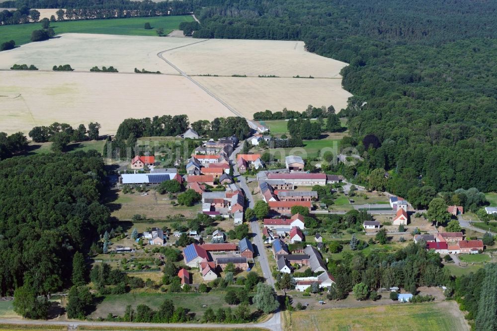 Vienau von oben - Dorf - Ansicht am Rande von Feldern in Vienau im Bundesland Sachsen-Anhalt, Deutschland