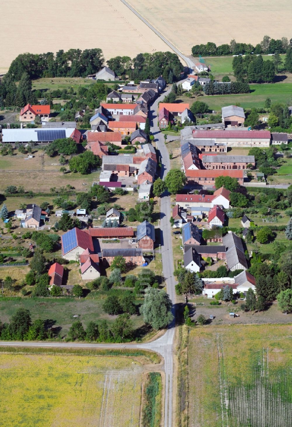 Vienau aus der Vogelperspektive: Dorf - Ansicht am Rande von Feldern in Vienau im Bundesland Sachsen-Anhalt, Deutschland