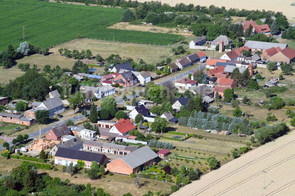 Luftaufnahme Vietzen - Dorf - Ansicht am Rande von Feldern in Vietzen im Bundesland Sachsen-Anhalt, Deutschland