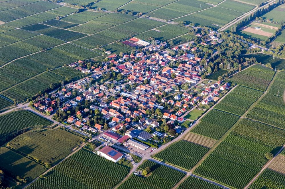 Luftaufnahme Walsheim - Dorf - Ansicht am Rande von Feldern in Walsheim im Bundesland Rheinland-Pfalz, Deutschland