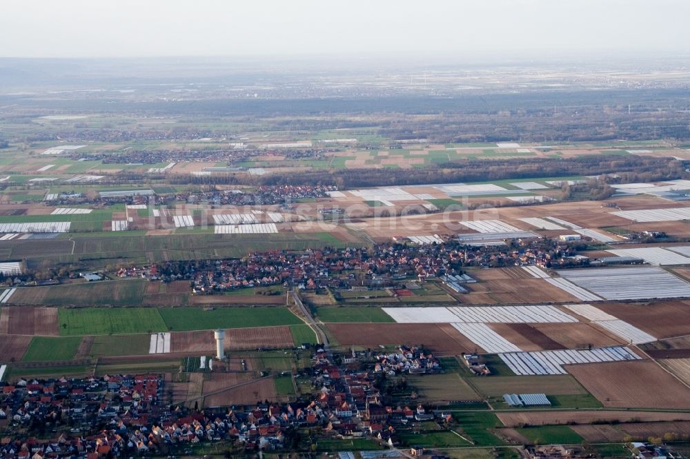 Weingarten (Pfalz) aus der Vogelperspektive: Dorf - Ansicht am Rande von Feldern in Weingarten (Pfalz) im Bundesland Rheinland-Pfalz, Deutschland