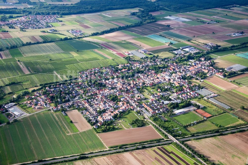 Weingarten (Pfalz) aus der Vogelperspektive: Dorf - Ansicht am Rande von Feldern in Weingarten (Pfalz) im Bundesland Rheinland-Pfalz, Deutschland