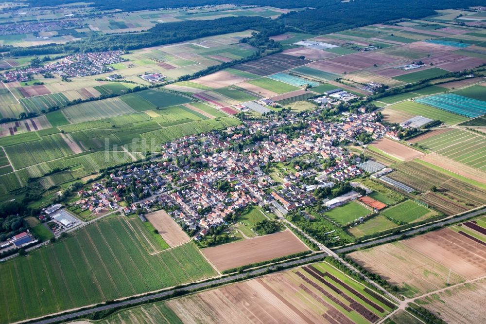 Luftbild Weingarten (Pfalz) - Dorf - Ansicht am Rande von Feldern in Weingarten (Pfalz) im Bundesland Rheinland-Pfalz, Deutschland