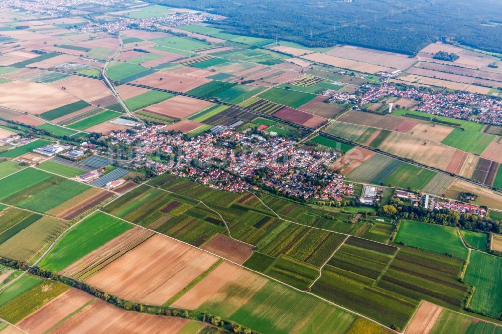 Luftaufnahme Weingarten (Pfalz) - Dorf - Ansicht am Rande von Feldern in Weingarten (Pfalz) im Bundesland Rheinland-Pfalz, Deutschland