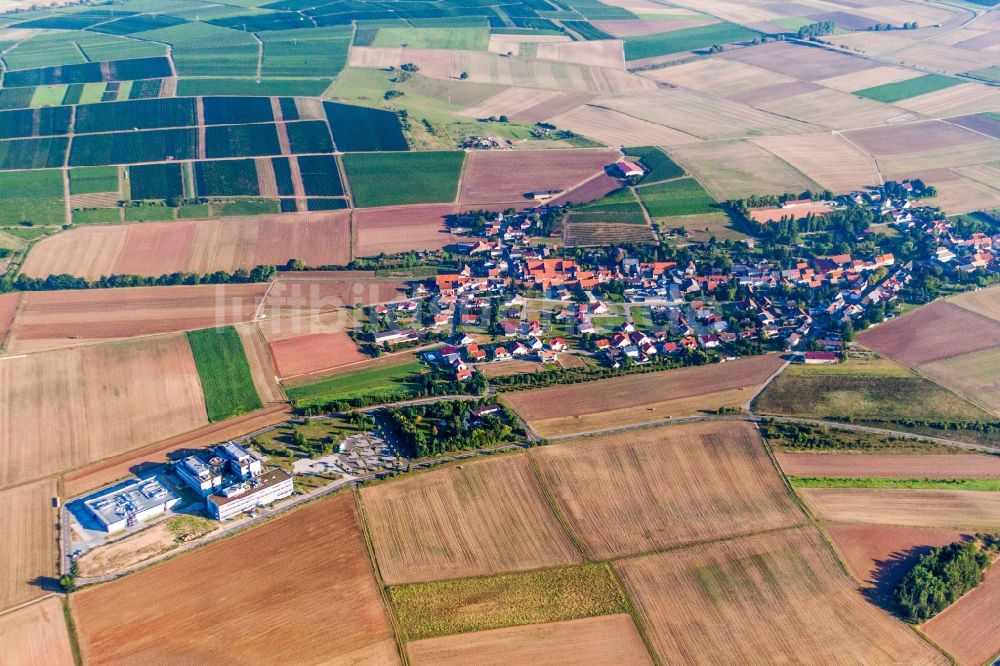 Luftaufnahme Wendelsheim - Dorf - Ansicht am Rande von Feldern in Wendelsheim im Bundesland Rheinland-Pfalz, Deutschland