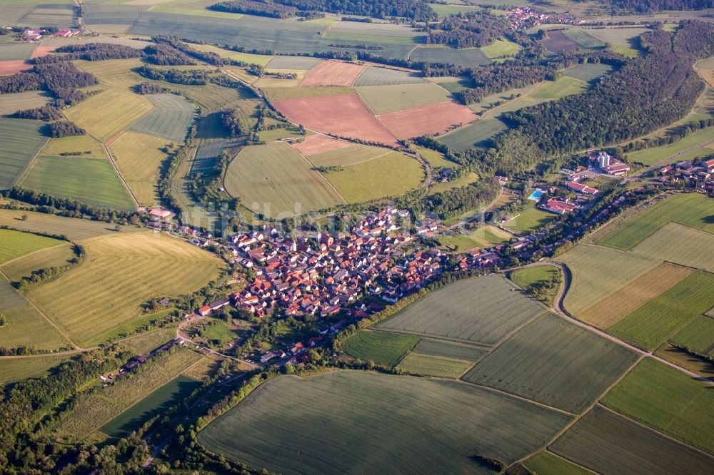 Wenkheim aus der Vogelperspektive: Dorf - Ansicht am Rande von Feldern in Wenkheim im Bundesland Baden-Württemberg, Deutschland