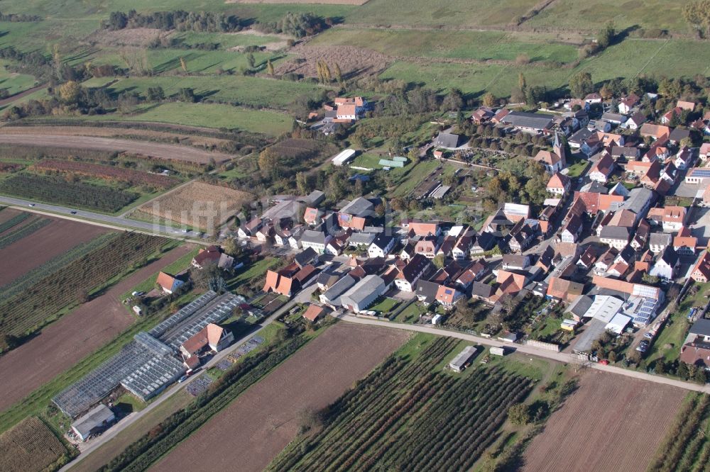 Winden von oben - Dorf - Ansicht am Rande von Feldern in Winden im Bundesland Rheinland-Pfalz, Deutschland