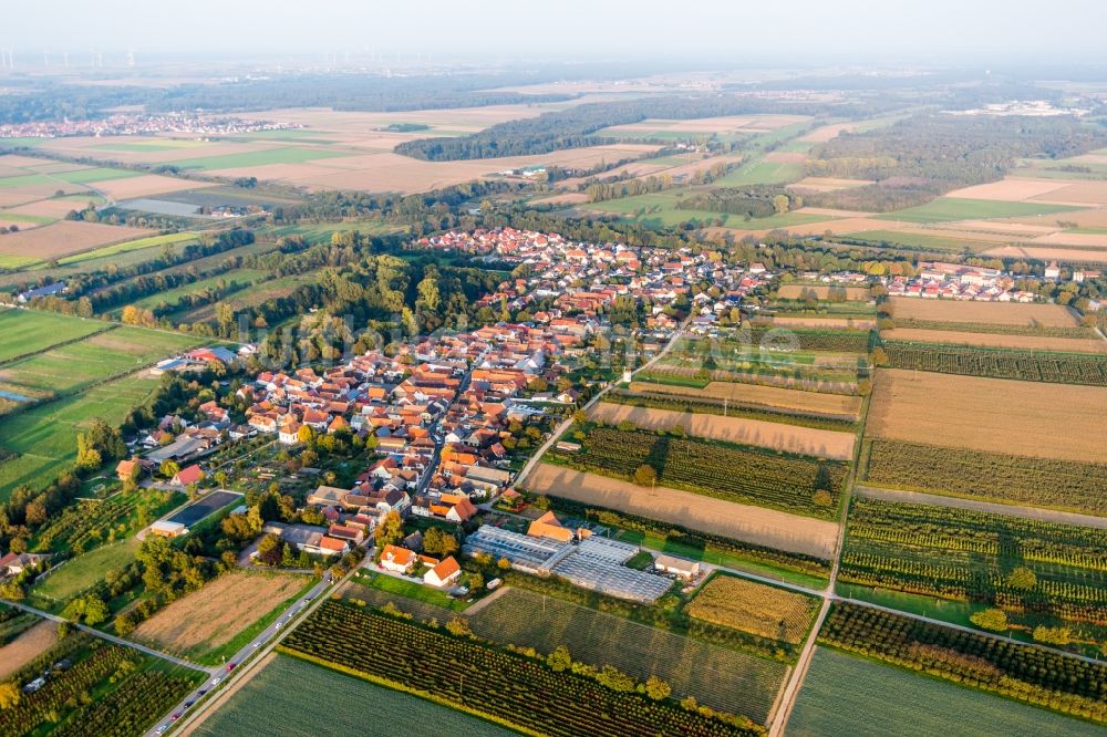 Winden von oben - Dorf - Ansicht am Rande von Feldern in Winden im Bundesland Rheinland-Pfalz, Deutschland