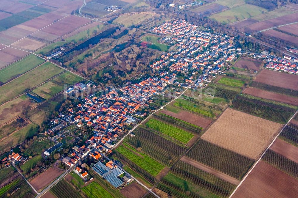 Winden von oben - Dorf - Ansicht am Rande von Feldern in Winden im Bundesland Rheinland-Pfalz, Deutschland