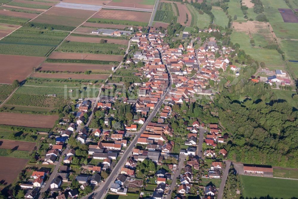 Winden aus der Vogelperspektive: Dorf - Ansicht am Rande von Feldern in Winden im Bundesland Rheinland-Pfalz, Deutschland