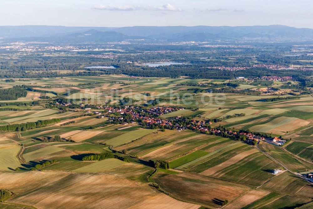 Luftbild Wintzenbach - Dorf - Ansicht am Rande von Feldern in Wintzenbach in Grand Est, Frankreich