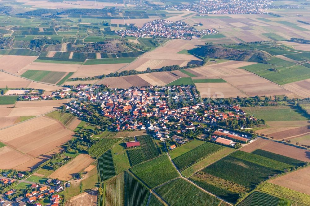 Luftbild Wonsheim - Dorf - Ansicht am Rande von Feldern in Wonsheim im Bundesland Rheinland-Pfalz, Deutschland