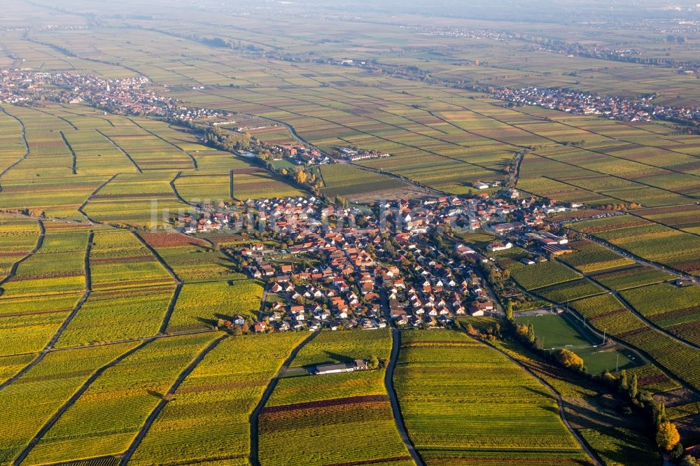 Luftbild Hainfeld - Dorf - Ansicht am Rande von herbstlich gefärbten Weinbergen in Hainfeld im Bundesland Rheinland-Pfalz, Deutschland