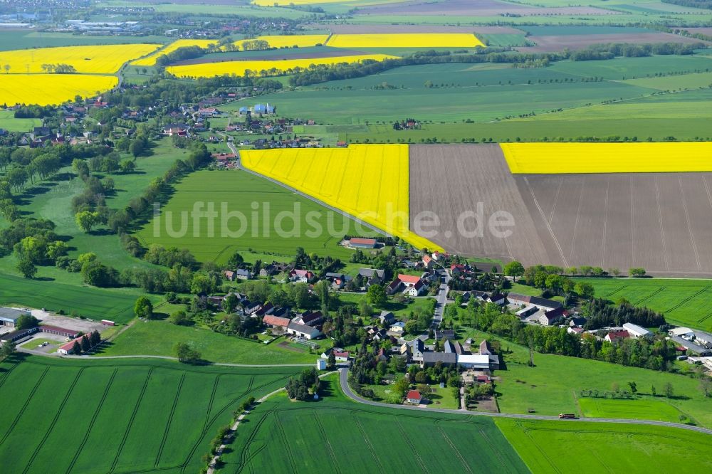 Leisnitz von oben - Dorf - Ansicht am Rande von landwirtschaftlichen Feldern in Leisnitz im Bundesland Sachsen, Deutschland