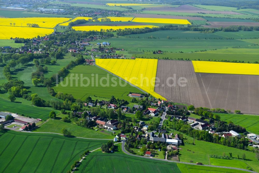 Leisnitz aus der Vogelperspektive: Dorf - Ansicht am Rande von landwirtschaftlichen Feldern in Leisnitz im Bundesland Sachsen, Deutschland