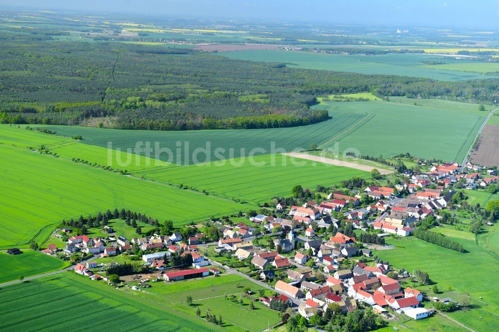 Meltewitz von oben - Dorf - Ansicht am Rande von landwirtschaftlichen Feldern in Meltewitz im Bundesland Sachsen, Deutschland