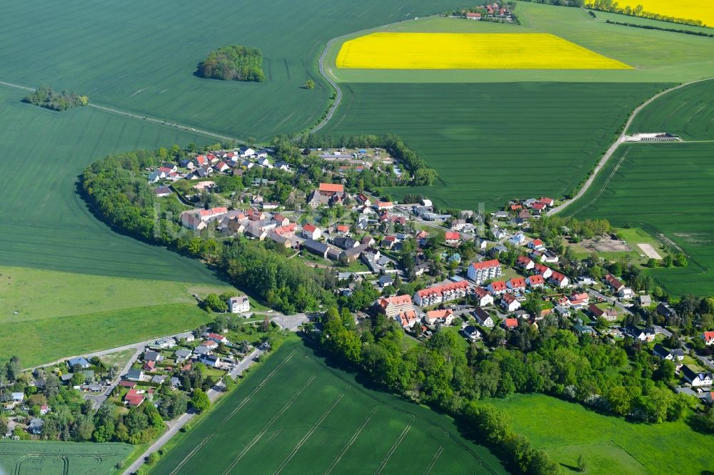 Merkwitz von oben - Dorf - Ansicht am Rande von landwirtschaftlichen Feldern in Merkwitz im Bundesland Sachsen, Deutschland