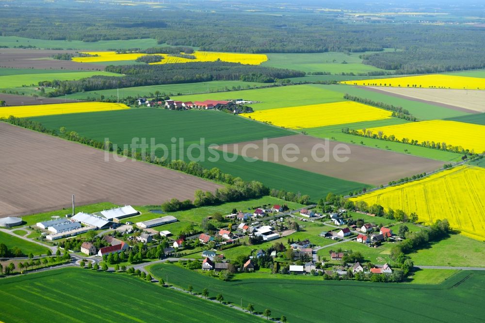 Schwarzer Kater aus der Vogelperspektive: Dorf - Ansicht am Rande von landwirtschaftlichen Feldern in Schwarzer Kater im Bundesland Sachsen, Deutschland