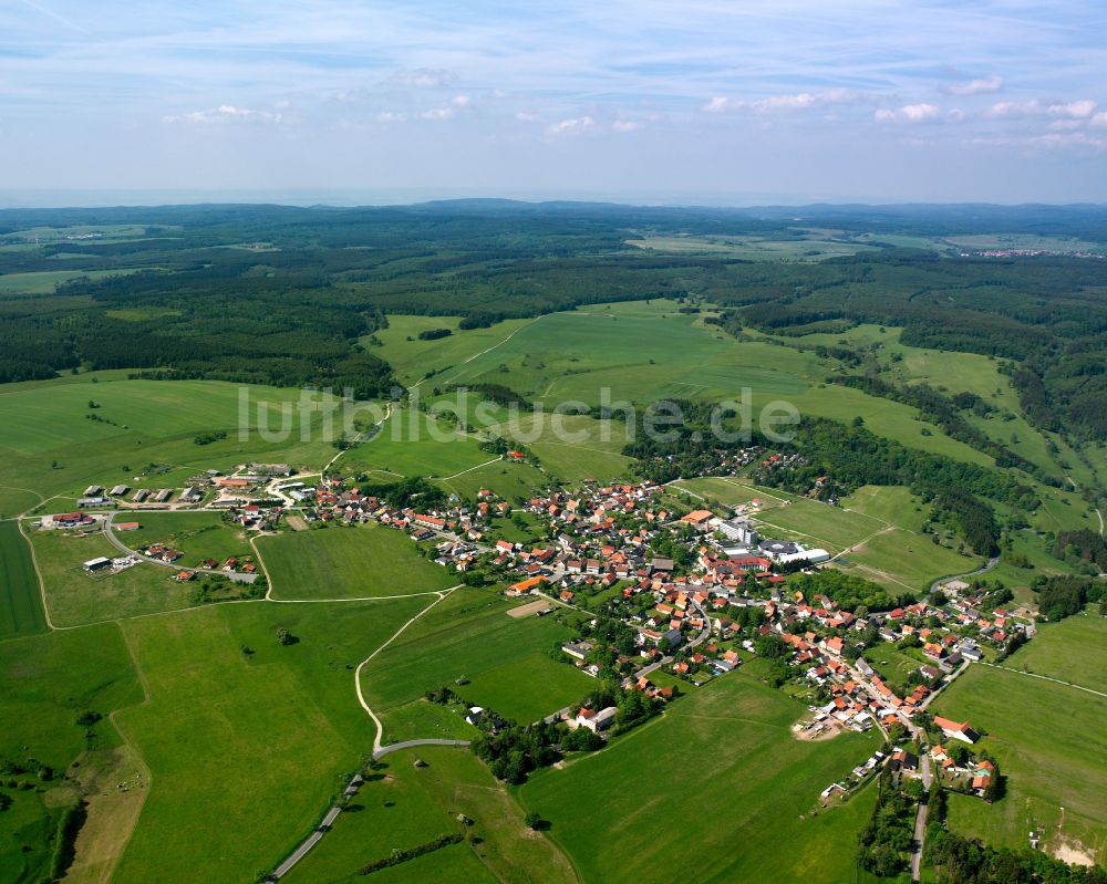 Allrode aus der Vogelperspektive: Dorf - Ansicht am Rande von Waldgebieten in Allrode im Bundesland Sachsen-Anhalt, Deutschland