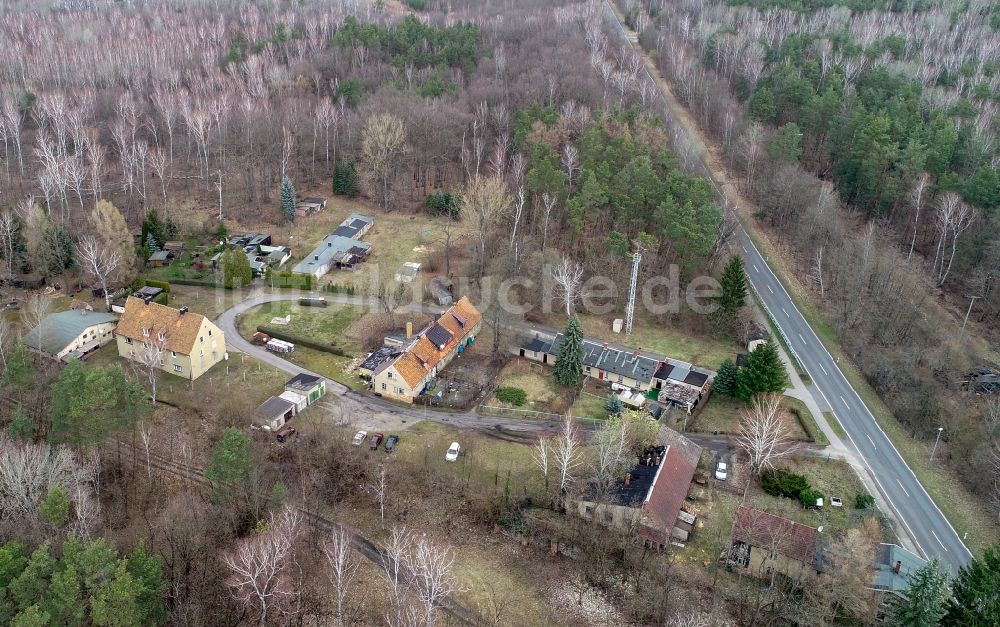 Alwine aus der Vogelperspektive: Dorf - Ansicht am Rande Waldgebieten in Alwine im Bundesland Brandenburg, Deutschland