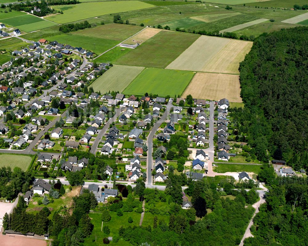 Argenthal aus der Vogelperspektive: Dorf - Ansicht am Rande von Waldgebieten in Argenthal im Bundesland Rheinland-Pfalz, Deutschland