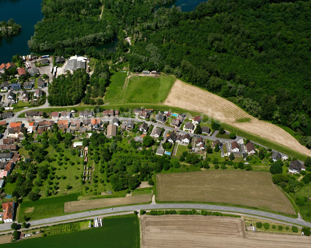 Auenheim aus der Vogelperspektive: Dorf - Ansicht am Rande von Waldgebieten in Auenheim im Bundesland Baden-Württemberg, Deutschland