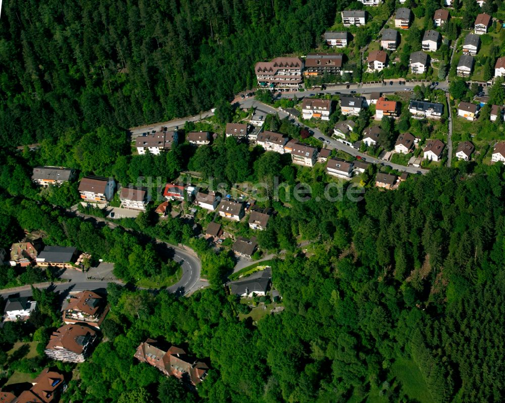 Bad Liebenzell von oben - Dorf - Ansicht am Rande von Waldgebieten in Bad Liebenzell im Bundesland Baden-Württemberg, Deutschland