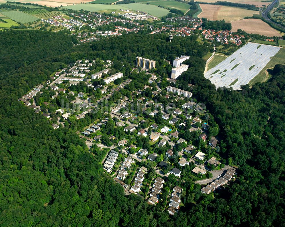 Luftbild Bergwald - Dorf - Ansicht am Rande von Waldgebieten in Bergwald im Bundesland Baden-Württemberg, Deutschland