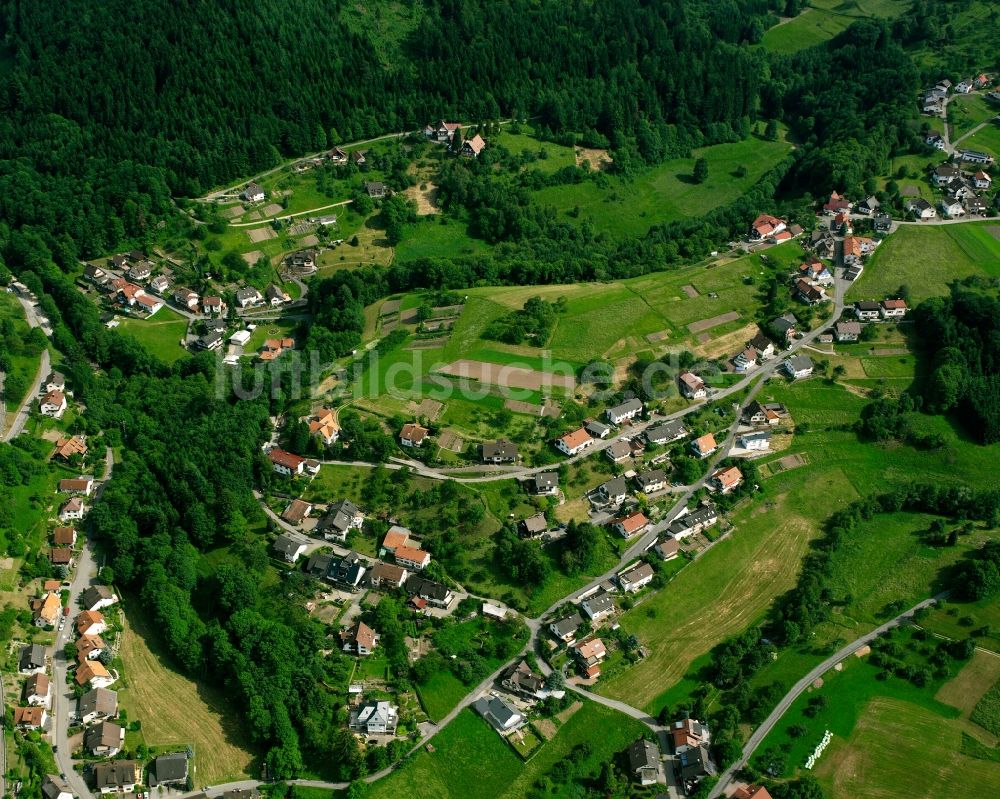 Bühlertal Von Oben Dorf Ansicht Am Rande Waldgebieten In Bühlertal 9231