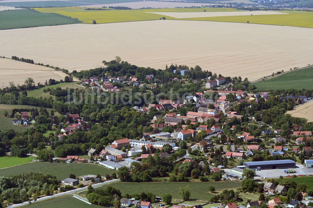 Dederstedt aus der Vogelperspektive: Dorf - Ansicht am Rande von Waldgebieten in Dederstedt im Bundesland Sachsen-Anhalt, Deutschland